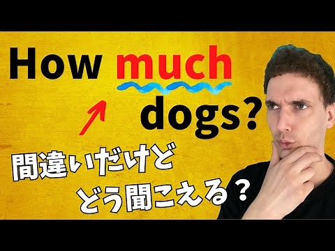 ［How many / How much］の使い分け＆間違えた時の聞こえ方を解説します