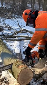 10K views · 74 reactions | In this firewood video I am in our woods cutting/bucking a silver maple firewood log into 16" campfire wood rounds with my Stihl MS460 chainsaw. #stihl #chainsaw #cuttingwood #firewoodbusiness | Joe's Premium Firewood | Facebook