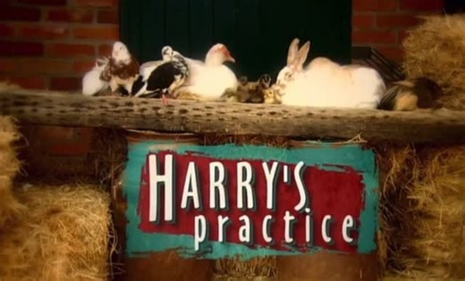 The iconic 90’s on Instagram: "Harry’s Practice 1997-2003. The show was hosted by veterinarian Harry Cooper, who provided advice for pet care. The show also featured Katrina Warren and Chris Brown as presenters. Personally, this was one of my favourite shows and the intro especially gives me all the feels! . . . . . #nostalgia #90s #australia #retro #80sretro #90snostalgia #80saesthetic #music #90sfashion #1980s #80s #00s #1990s #90sera #90svibes #explore #omgedits #model #the90s #softaudio #aes