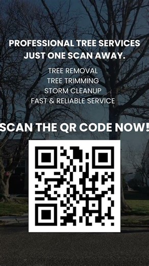 Need professional tree services in New Jersey? 🌳.