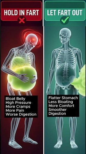 Holding in Gas vs Letting It Out: What Happens to Your Body? | Digestive Health Animation