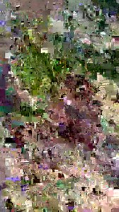 Join me in the kitchen | Whizzy’s TV