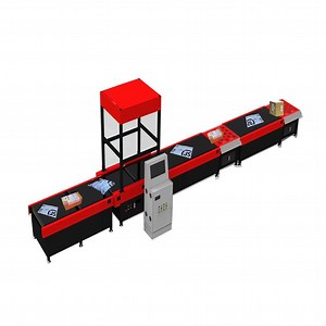 [Hot Item] Advanced Smart Balance Wheel Sorting System for Efficient Logistics