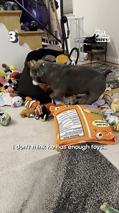 25K views · 295 reactions | That's poultry in motion  | Fur Family | Facebook