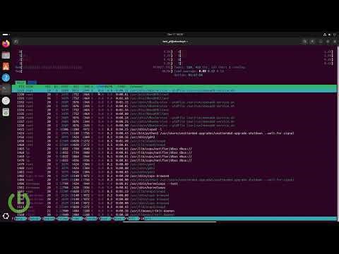 Linux – Come usare htop: installare, cercare e terminare processi