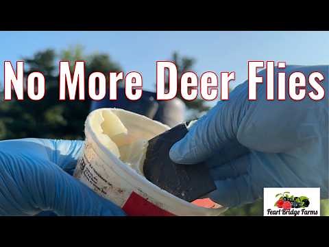 Finally! A Deer Fly Trap That Actually Works (Seriously)
