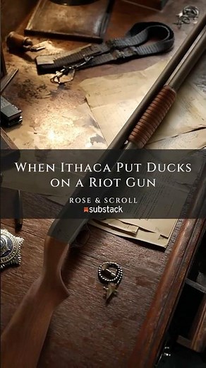 “When Ithaca Put Ducks on a Riot Gun”