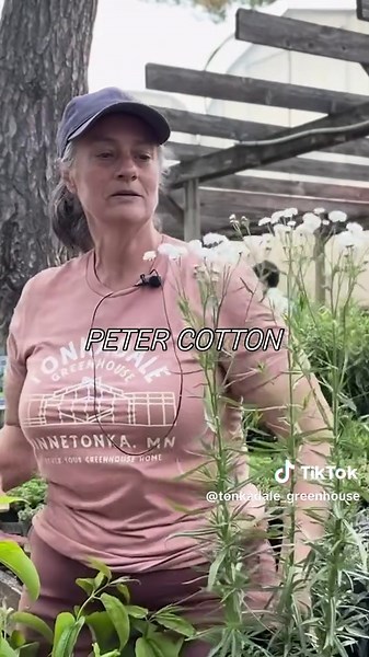 TonkadaleGreenhouse on TikTok