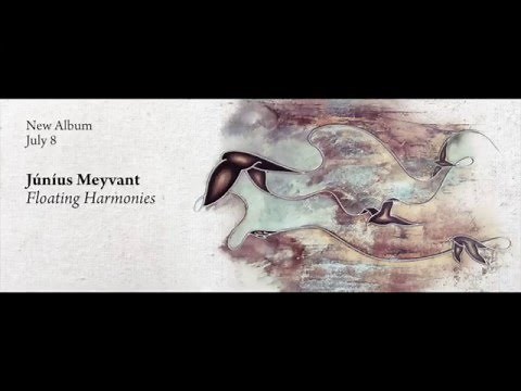Júníus Meyvant - Neon Experience (Official Audio)