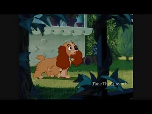 ♥ Balto~Lady~Cash || Crossover ♥