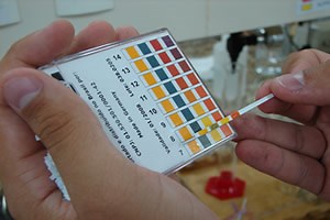Indicadores de pH - Brasil Escola