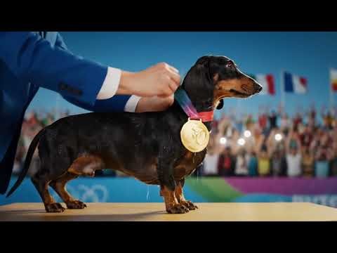 Weenie Dog Wins Olympic Gold | Epic Dachshund Dive & Medal Ceremony
