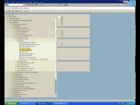 Introduction SAP PM (Plant Maintenance)