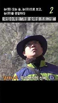 아빠 없는 나무부터 치명적인 독초까지? [ 국립수목원 겨울 숲해설 2 ]