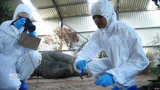Wildlife academy in South Africa helps fight poaching