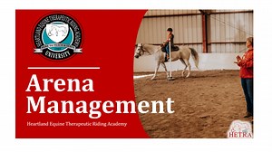 Arena Management
