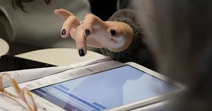 Diez dudas y sus respuestas para resolver el Censo Digital 2022