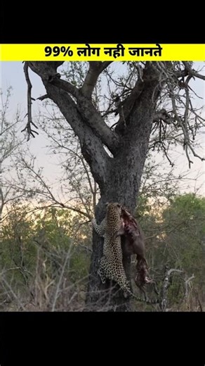 7 Animal Facts That Will Blow Your Mind