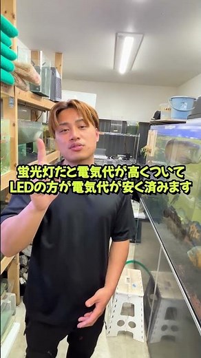 【LED vs 蛍光灯】水槽照明の選び方とメリット #セカンドアクア #江戸川区 #熱帯魚 #アクアリウム #水草 #金魚 #照明 #LED