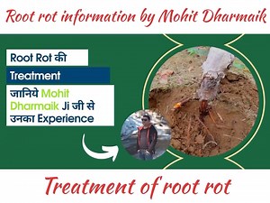 Inderprastha Orchards on Reels