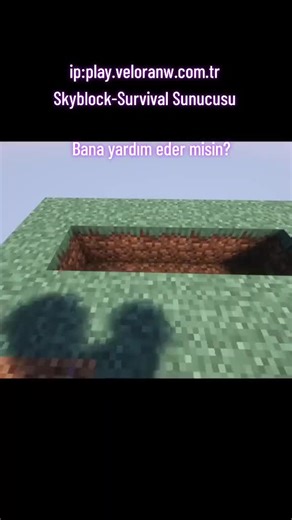 Skyblock Survival: Bana Yardım Et