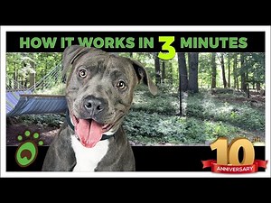 Don't concrete fence in your yard before you see this REAL dog fence solution