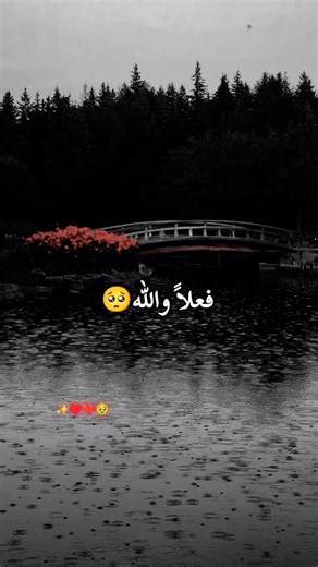 تصميمي: لايك فولو كومنت — فيديو قصير من xm._.b52