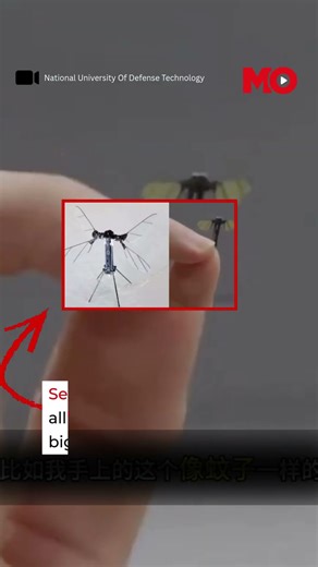 The Future of Surveillance? China’s Mosquito-Sized Spy Drone Prototype| Mo of Everything