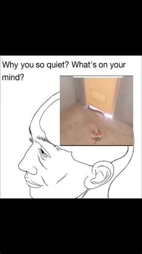 SenpaiREALITY (@senpaipresets) - Funny Snake Memes Compilation | Snake Trying To Escape