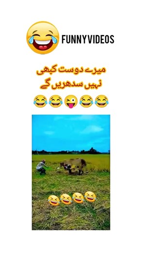 https://www.tiktok.com/@itxsbaloch12?is_from_webapp=1&sender_device=pc