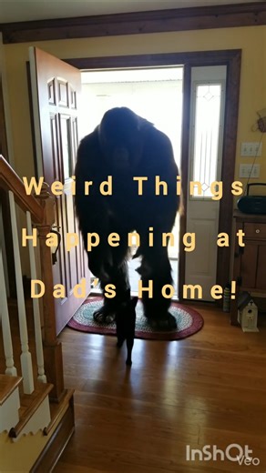 Grasslands - Weird Things at Dad's Home