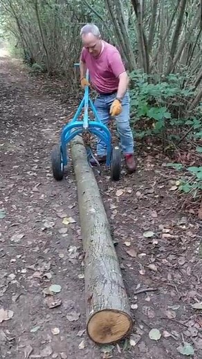Shifting a Log