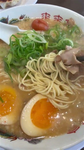 来来亭 こってりラーメン 煮卵トッピング ギョーザ #ラーメン