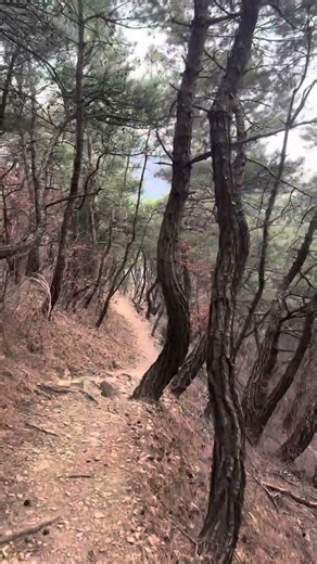 주말"금오산 산행" 공돌이형들🏔🐿,백패킹,암벽등반,클라이밍,경북대구암벽등반,구미암벽등반,등반장비 #hiking #mountains #climbingrocks #5.9