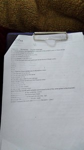 Classi V Worksheet. English language. Q.-1-Write whether the highlighted verbs are in the present ipast or future tense-