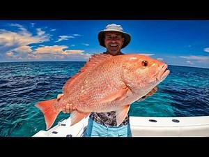 Red Snapper Limits 100 Miles Offshore On a 34 Freeman (Marco Island, Florida) *Catch, Clean & Cook*