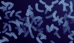 The future of evolutionary medicine