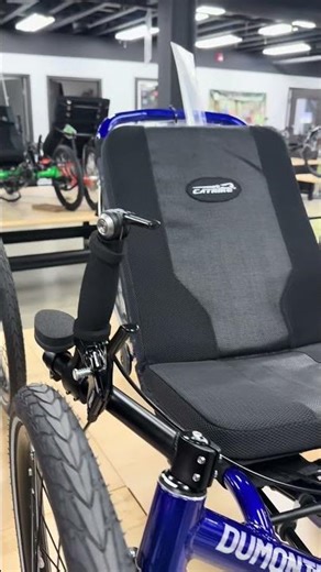 Blueberry Burst Dumont looking finnnne