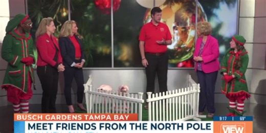 Busch Gardens Tampa Bay’s Christmas Town