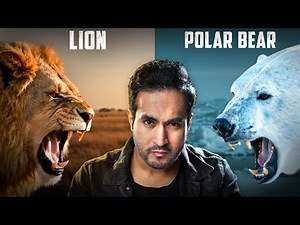 LION vs POLAR BEAR | Who would Win?