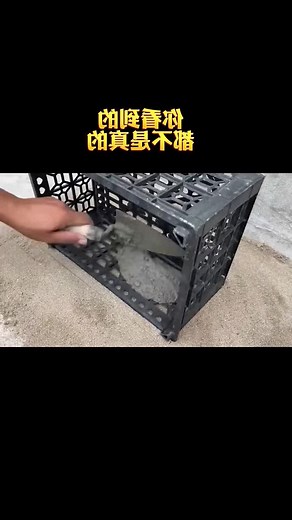 How to Use Concrete Molds for Creative Projects