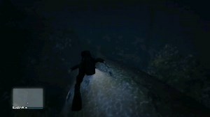 Did you know there's an enormous crashed airplane underwater? Pretty cool to see.