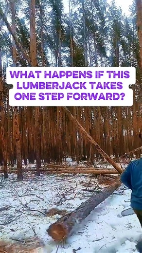 This lumberjack was almost hit by a tree trunk #wood #feedshorts