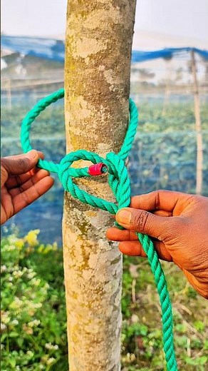 Popular Knot ,Easy, Quick and Reliable!