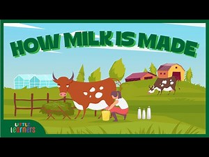 🥛 Where Does Milk Come From? | Milk Farm Tour for Preschool Kids 🐄 #LearningVideo