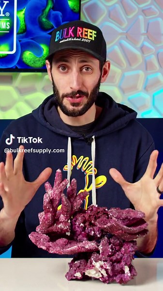 Aquascaping can seem incredibly daunting when building out your saltwater aquarium. THESE tips are game changers! #bulkreefsupply #brstv #saltwateraquarium #reeftank #reef #fishtank #coral #reefaquarium #saltwatertank #aquarium #marinelife #oceanlife #tropicalfish #fish #hobby #freshwater #freshwateraquarium #plantedtank #aquascape