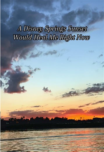 Experience a Magical Boat Ride to Disney Springs
