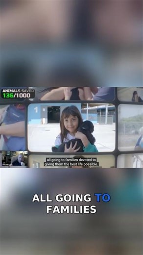 100 dogs saved as rescues find forever homes in emotional adoption stories