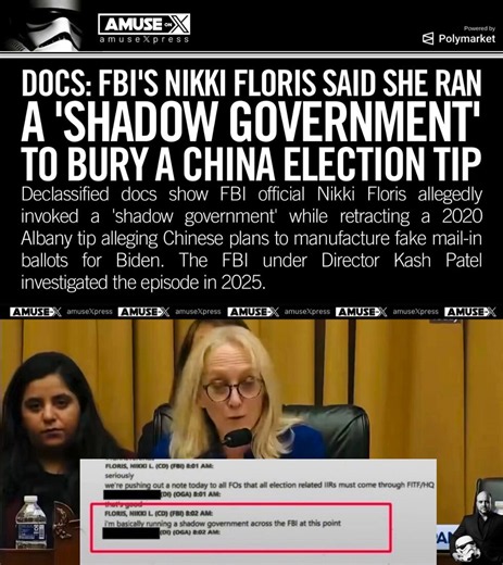 DEEP STATE: FBI Foreign Interference Task Force Lead Nikki Floris admitted in email released by the White House that she was running a shadow government inside the FBI. Floris is now an executive at Microsoft.