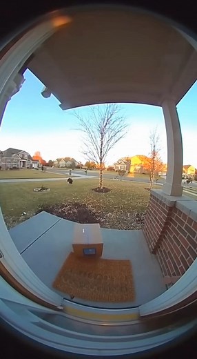 1.9K views | massive turkey attacks ups guy as hes delivering package藍 | Artificially Entertaining | Facebook